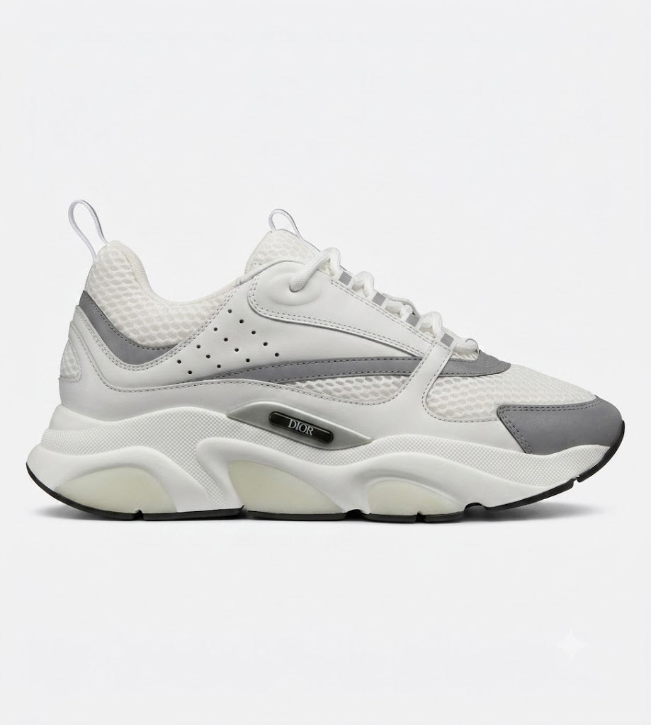 Dior B22